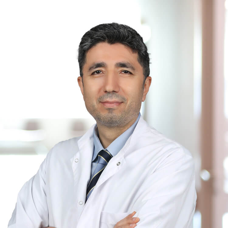 البروفيسور الدكتور جودت كايا