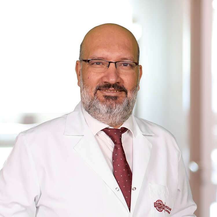 Professor Dr. Chalayan