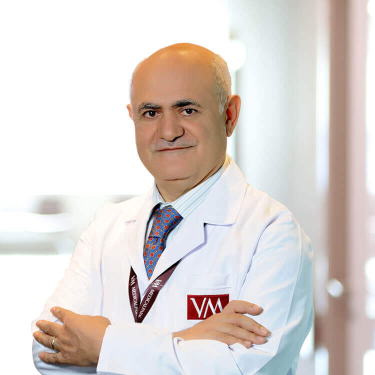 البروفيسور الدكتور داوود البايراك