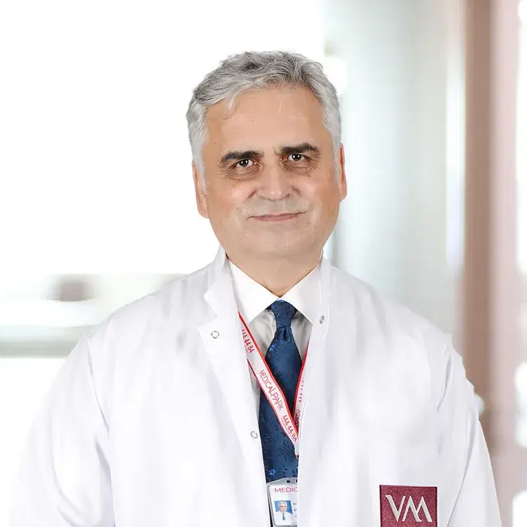 البروفيسور الدكتور محموت إرجان تشيتينوس