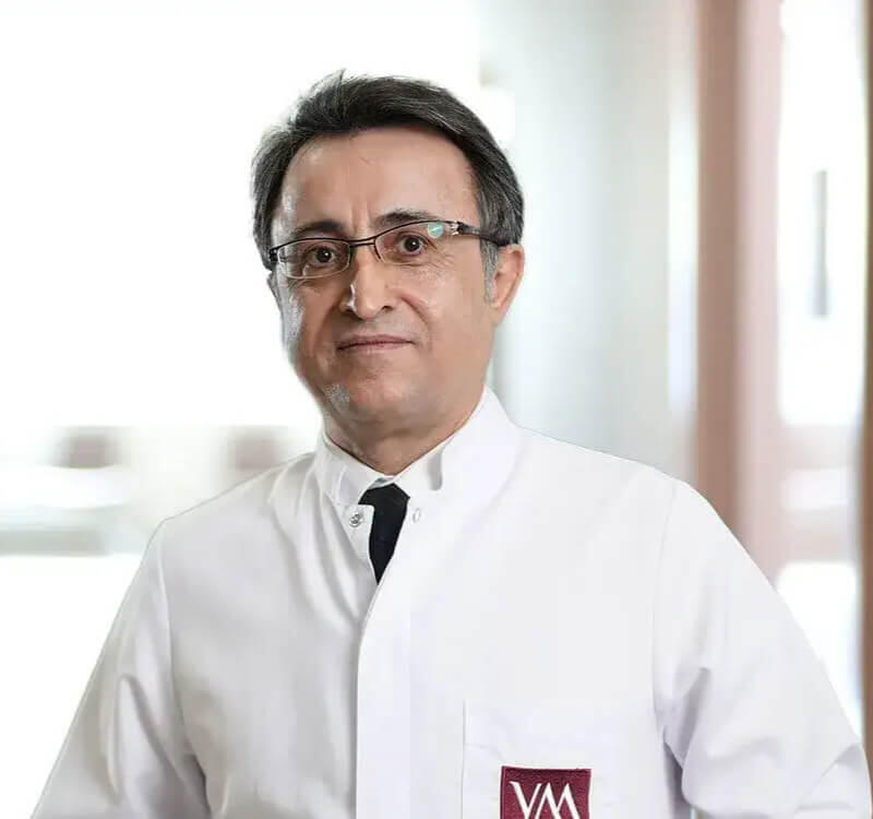 البروفيسور الدكتور مراد غول
