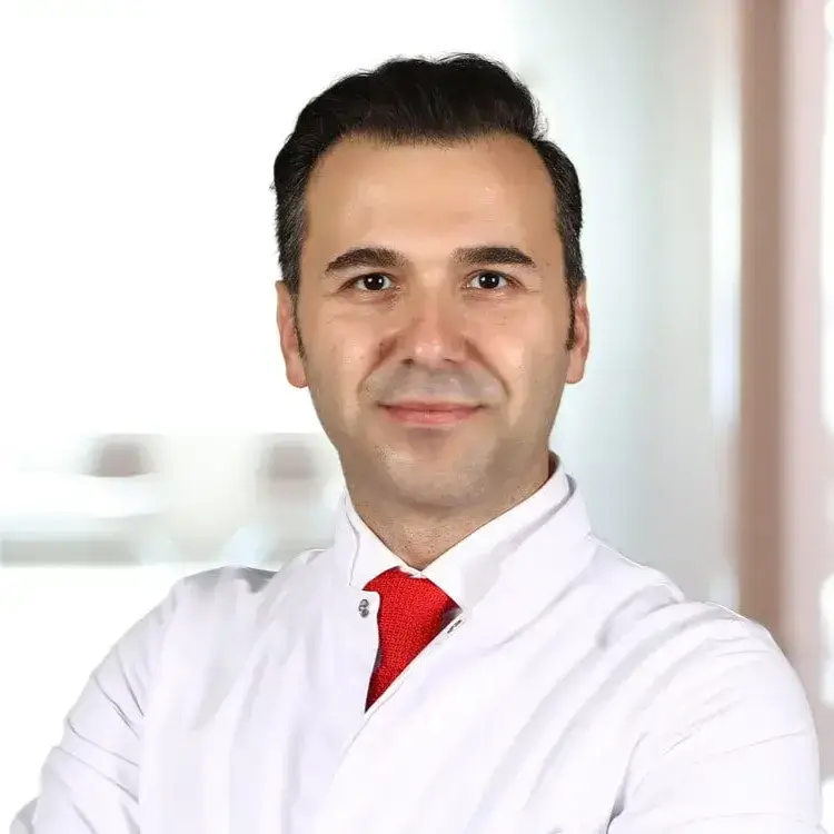 الاستاذ المشارك الدكتور إيمره إرمش